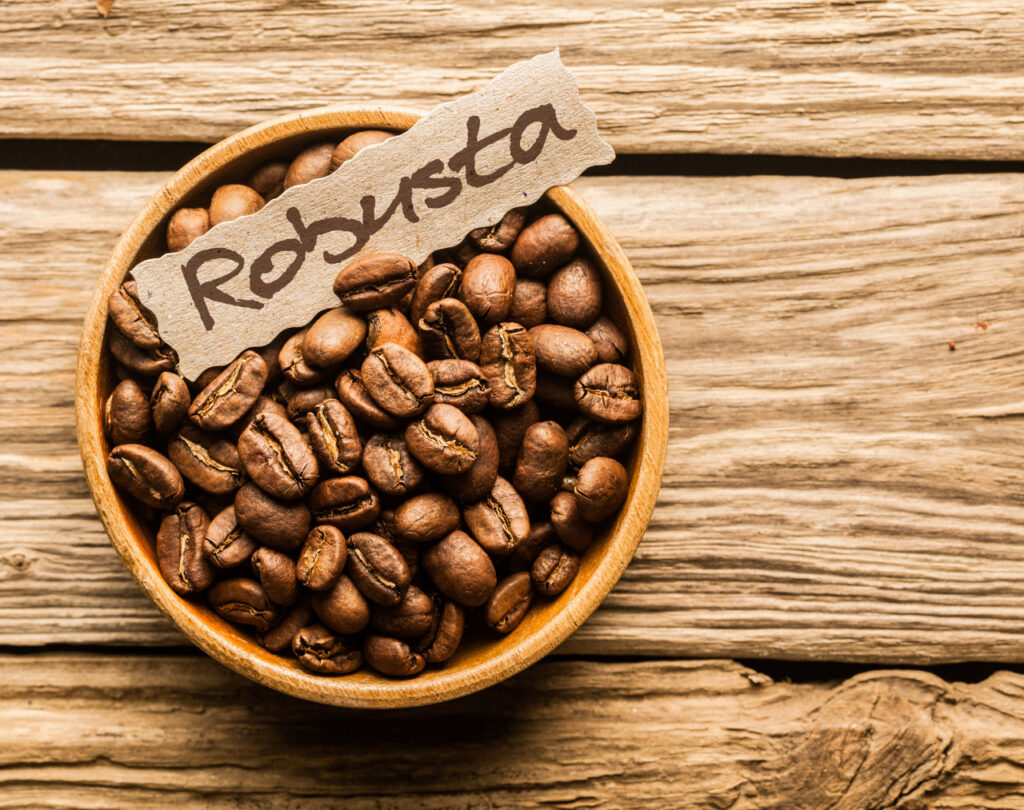 Roasted Robusta Coffee Beans on Wooden Background