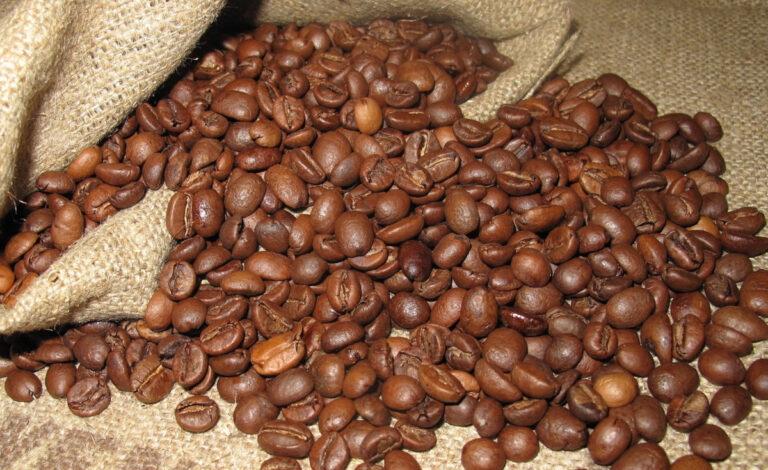 arabica coffee beans in burlap sack