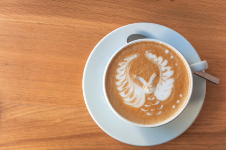 owl latte art